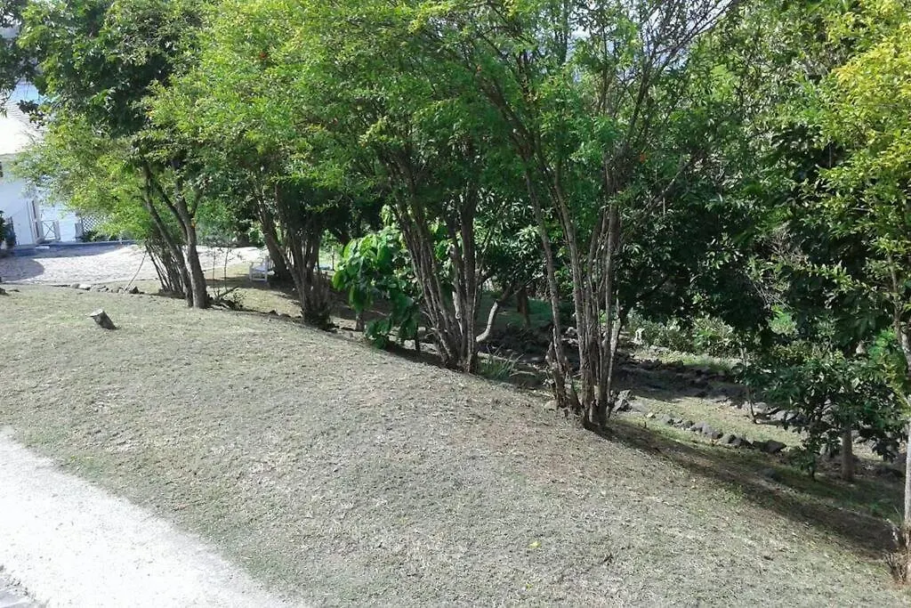 Oceandale Beachfront Villa Cap Estate 0*,